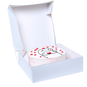 Caja MULTIUSO 25x25x10cm