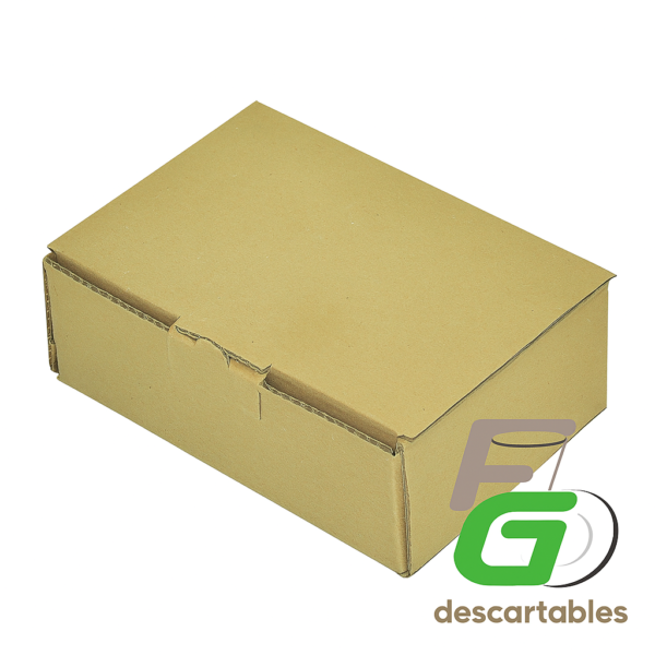 Caja DELIVERY / FACTURAS Grande 25x13,5x11 cm